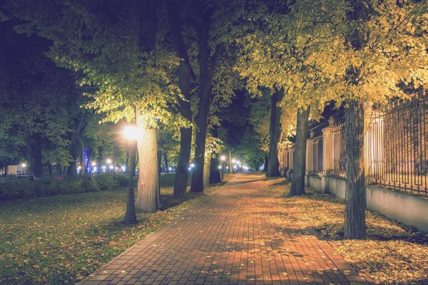 Stadtpark Herbst Mit Wegen Die Mit Abgefallenen Gelben Blättern Und — Stockfoto