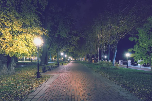 Sonbaharda Şehir Gece Parkında Düşen Sarı Yapraklar Akçaağaç Ağaçlarıyla Dolu — Stok fotoğraf