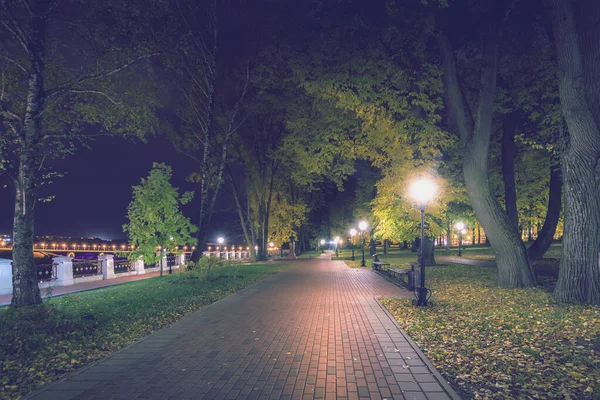 Sonbaharda Şehir Gece Parkında Düşen Sarı Yapraklar Akçaağaç Ağaçlarıyla Dolu — Stok fotoğraf