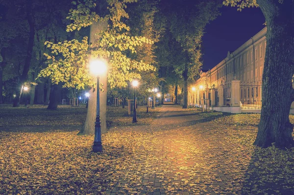 Stadtpark Herbst Mit Wegen Die Mit Abgefallenen Gelben Blättern Und — Stockfoto