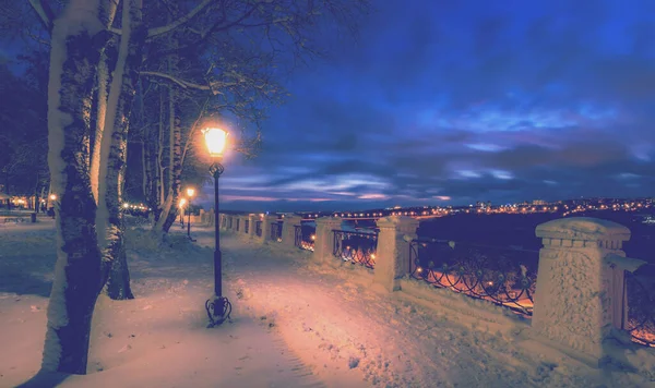 Parco Invernale Notte Con Decorazioni Natalizie Luci Marciapiedi Alberi Ricoperti — Foto Stock