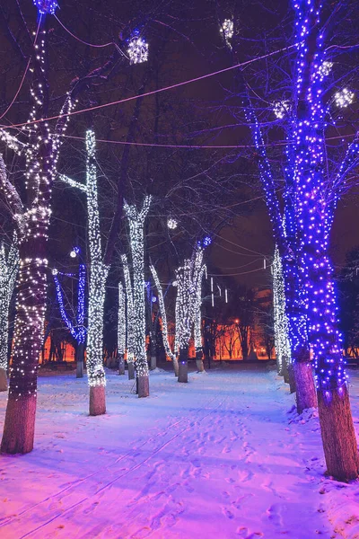 Zimowy Park Nocy Dekoracjami Świątecznymi Lampkami Ławką Pierwszym Planie Chodnikiem — Zdjęcie stockowe