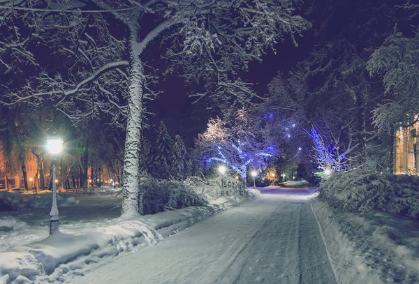 Zimowy Park Nocy Dekoracjami Świątecznymi Lampkami Ławką Pierwszym Planie Chodnikiem — Zdjęcie stockowe