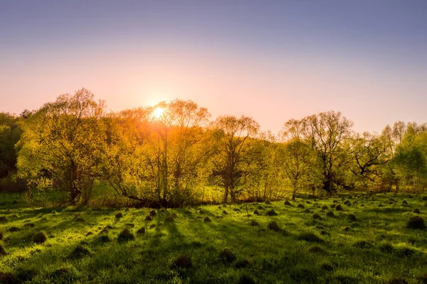 Coucher Soleil Aube Dans Champ Printanier Avec Herbe Verte Sentier — Photo