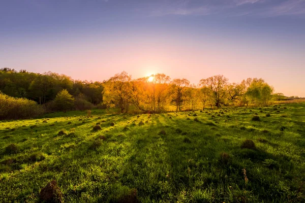 Sonnenuntergang Oder Sonnenaufgang Einem Frühlingsfeld Mit Grünem Gras Weiden Und — Stockfoto