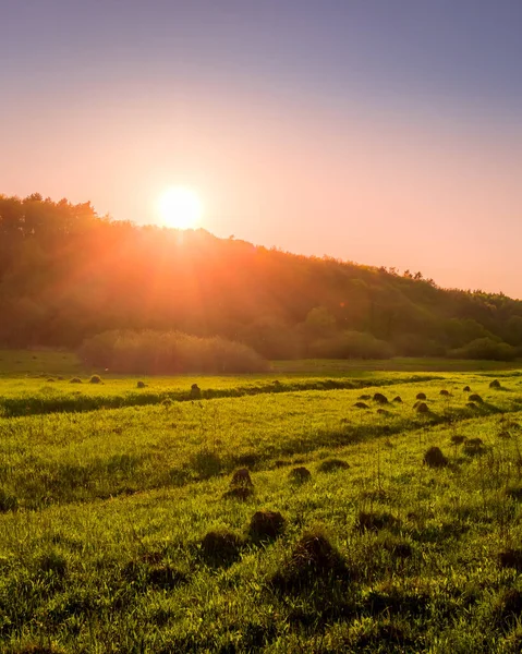 Pôr Sol Amanhecer Campo Primavera Com Grama Verde Caminho Com — Fotografia de Stock