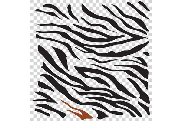 Siyah Zebra deri — Stok Vektör
