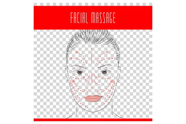 Ansiktsmassage. Massage linjer. — Stock vektor