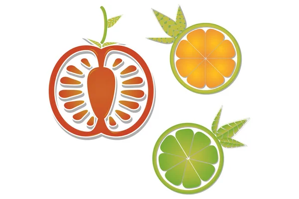 Turuncu. Vektör çizim. Kavramı.