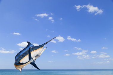 (Istiophorus) izole Marlin - kılıç balığı, yelken balıkları tuzlu su balık