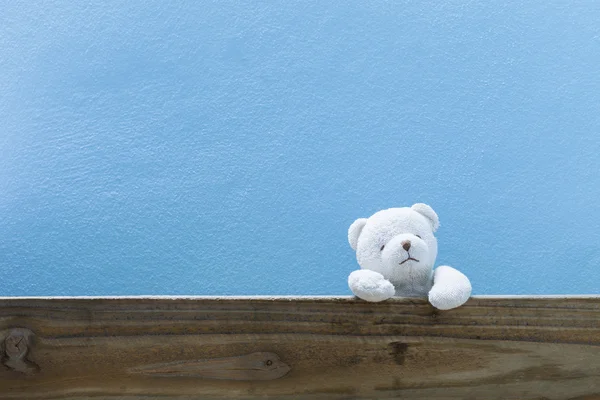 Teddy bear on old wood blue wall background. — Stock Photo, Image