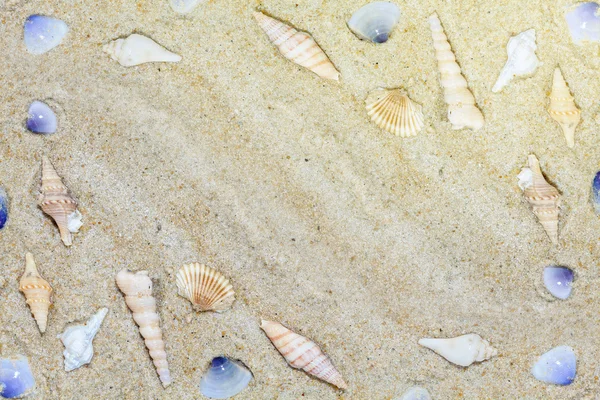 Kum yaz güzel deniz kabuklarını plaj arka plan, sahne bac