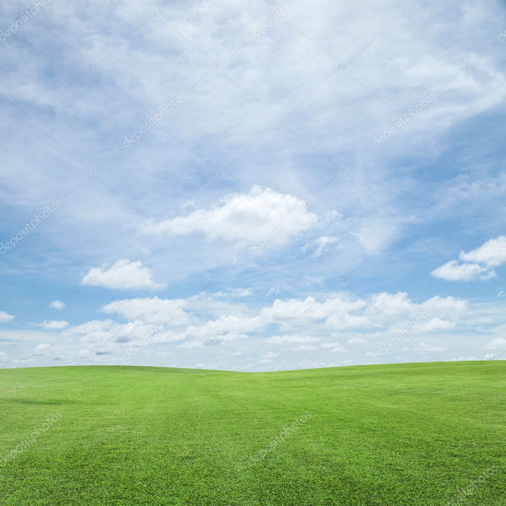 Sự kết hợp của bầu trời xanh và cánh đồng cỏ tươi sáng tạo nên một phong cảnh độc đáo và khác biệt. Không gian rõ ràng, sự tươi mới của cây cỏ và màu sắc đẹp của bầu trời đã tạo ra một bức ảnh có sức hút đặc biệt.