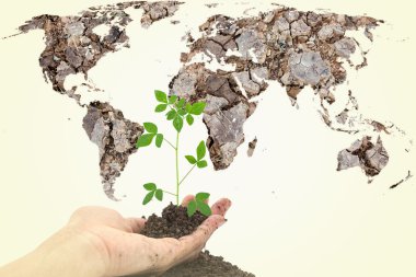 Genç yeşil bitki ile Global holding eller Kuru toprak Haritası 