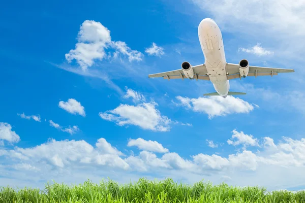 Airplane in the sky with beautiful green grass blue sky scenery — Stock Photo, Image