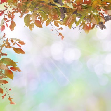 Sonbahar yaprakları çerçevesi.