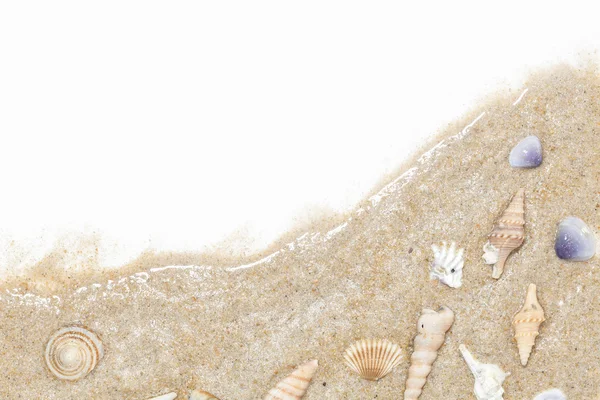 Schelpen op het witte zand achtergrond voor vakantie zomer achtergrond. — Stockfoto