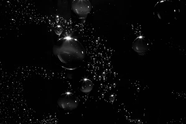 Gotas de água no fundo preto. — Fotografia de Stock