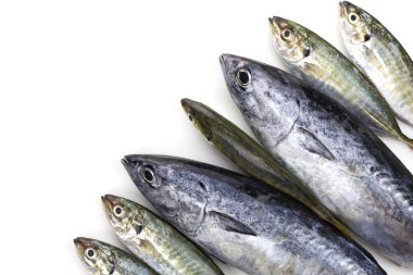 Taze ton balığı ve sarı şerit trevally balık 