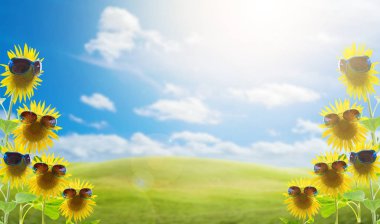 Ayçiçeği güneş b yeşil çim alandaki güneş gözlüklü