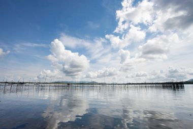 Yaz sezonu denize ahşap çit.