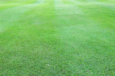 Yeşil çim için doğa arka plan alanını seçin ve ürün montaj