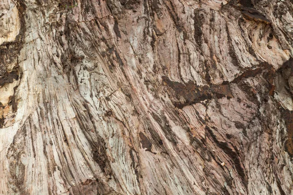 Hermoso patrón de color roca grande para el fondo de la naturaleza —  Fotos de Stock