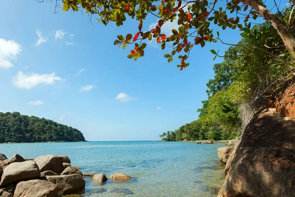 Красивый пейзаж тропического моря и листья рамки — стоковое фото