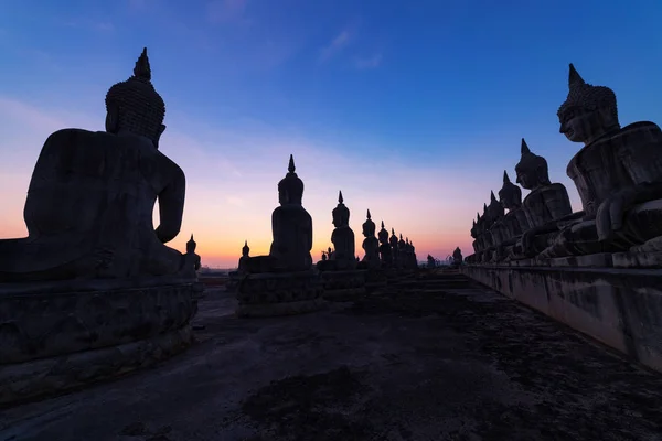 Grande estátua de buddha em belo nascer do sol ou pôr do sol — Fotografia de Stock