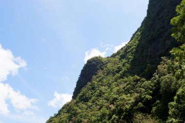 yağmur ormanlarında Phang Nga, tropikal ormanlar, dağlar, kayalar