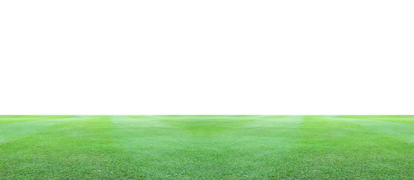 Zielona trawa pole na białym tle. — Zdjęcie stockowe