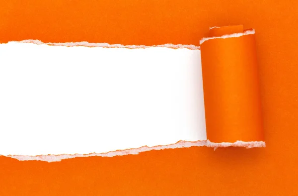 Kağıt ve beyaz arka plan metin için yer ile sökük.