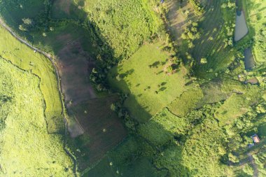 Doğanın havadan aşağı dağ dokusu orman manzarası 