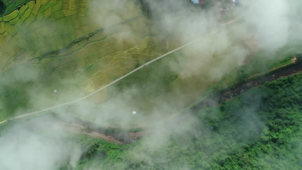 Vue aérienne Drone shot of flowing fog waves on mountain tropical rainforest, Bird eye footage over the clouds Incroyable nature background with clouds and mountain peaks 