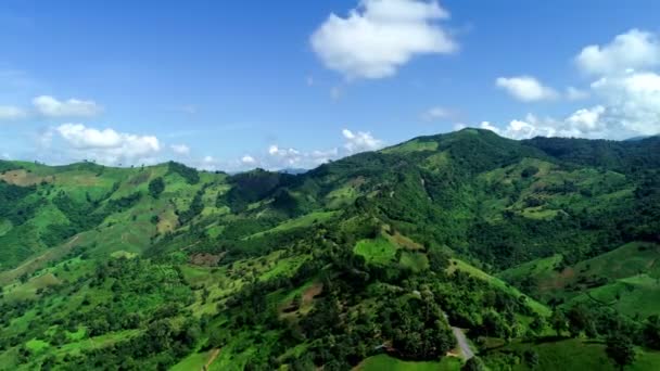 Vista Aérea Drones Hiperlapso Curva Camino Asfalto Selva Tropical Montaña — Vídeos de Stock