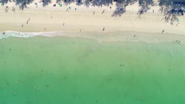 Vista Aérea Ángulo Alto Las Personas Disfrutan Natación Relajarse Playa — Vídeo de stock