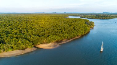 Mangrov ormanının ve nehrin havadan görünüşü denize akıyor. 