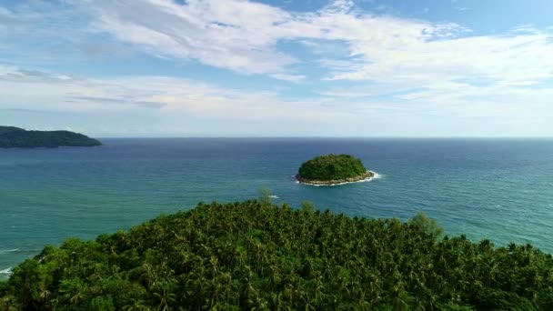 Aerial Drone View Flying Tropical Sea Beautiful Forest Coconut Palm — Stock Video