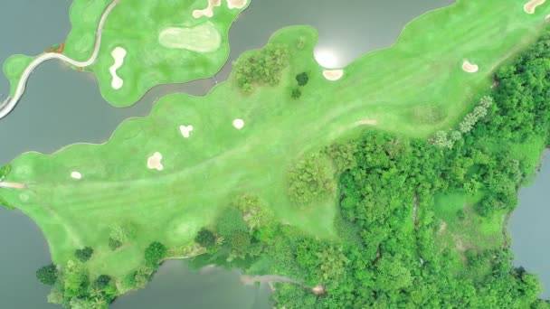 空中ビュードローンは ゴルフ場のフィールドと緑の森の上に撃墜 — ストック動画