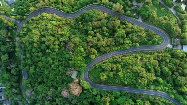 Voo Aéreo Drone Voando Sobre Curva Estrada Através Bela Floresta — Vídeo de Stock