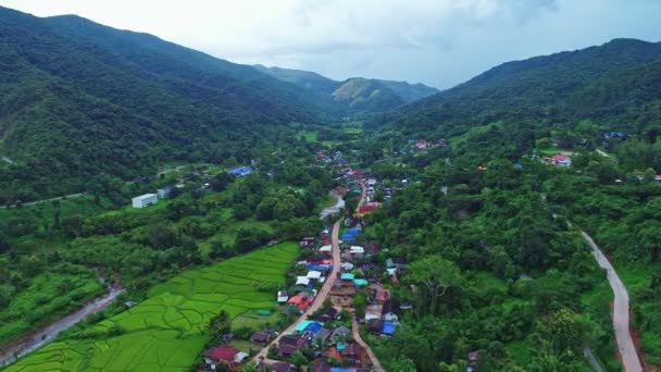 Ilmakuva Drone Laukaus Vihreää Riisiä Kentät Kaunis Valo Luonnon Tien — kuvapankkivideo