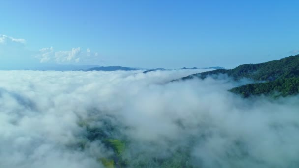 山の熱帯雨林に流れる霧の波の空中ビュードローン撮影 雲の上の鳥の目のビュー映像雲と山のピークと素晴らしい自然背景 — ストック動画
