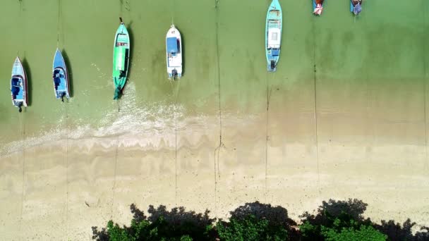Aerial View Thai Hagyományos Longtail Halászhajók Trópusi Tenger Gyönyörű Strand — Stock videók