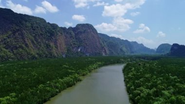 Mangrov orman ve phang nga eyaleti Tayland yüksek dağlarda güzel doğal sahne nehir havadan görünümü drone çekim