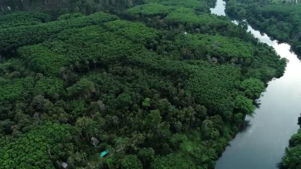 Drónfelvételek Repülnek Felfelé Esőerdő Magas Hegyén — Stock videók