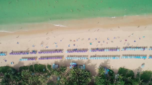 Vista Aérea Ángulo Alto Gente Disfruta Natación Relajarse Playa Phuket — Vídeos de Stock