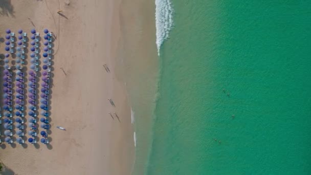 Természeti Felvétel Gyönyörű Homok Trópusi Tenger Hullám Összeomlik Strandon Légi — Stock videók