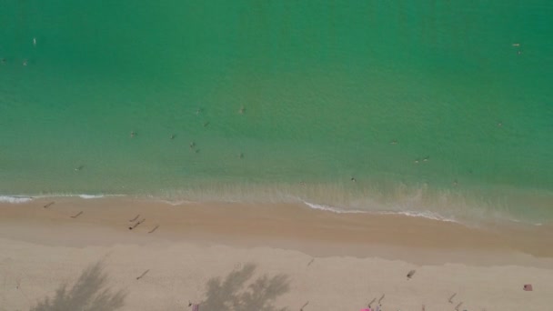 美丽的热带沙海的自然镜头 海浪冲撞海滩航景无人驾驶飞机拍摄的顶景 — 图库视频影像