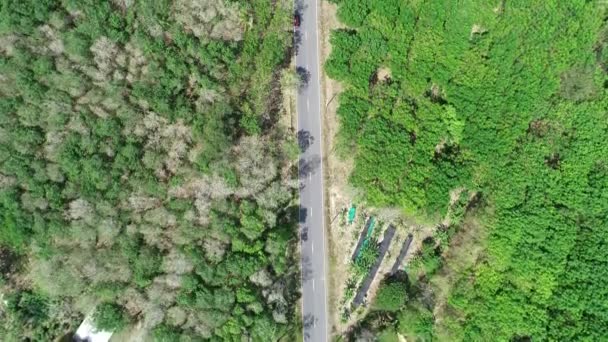空中ビュー海の近くのアスファルト道路のドローン映像美しい自然景観 — ストック動画