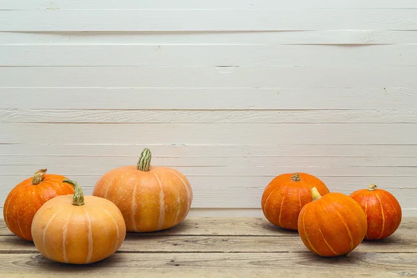 Several pumpkins on a white background wooden planks. — Stock Photo, Image